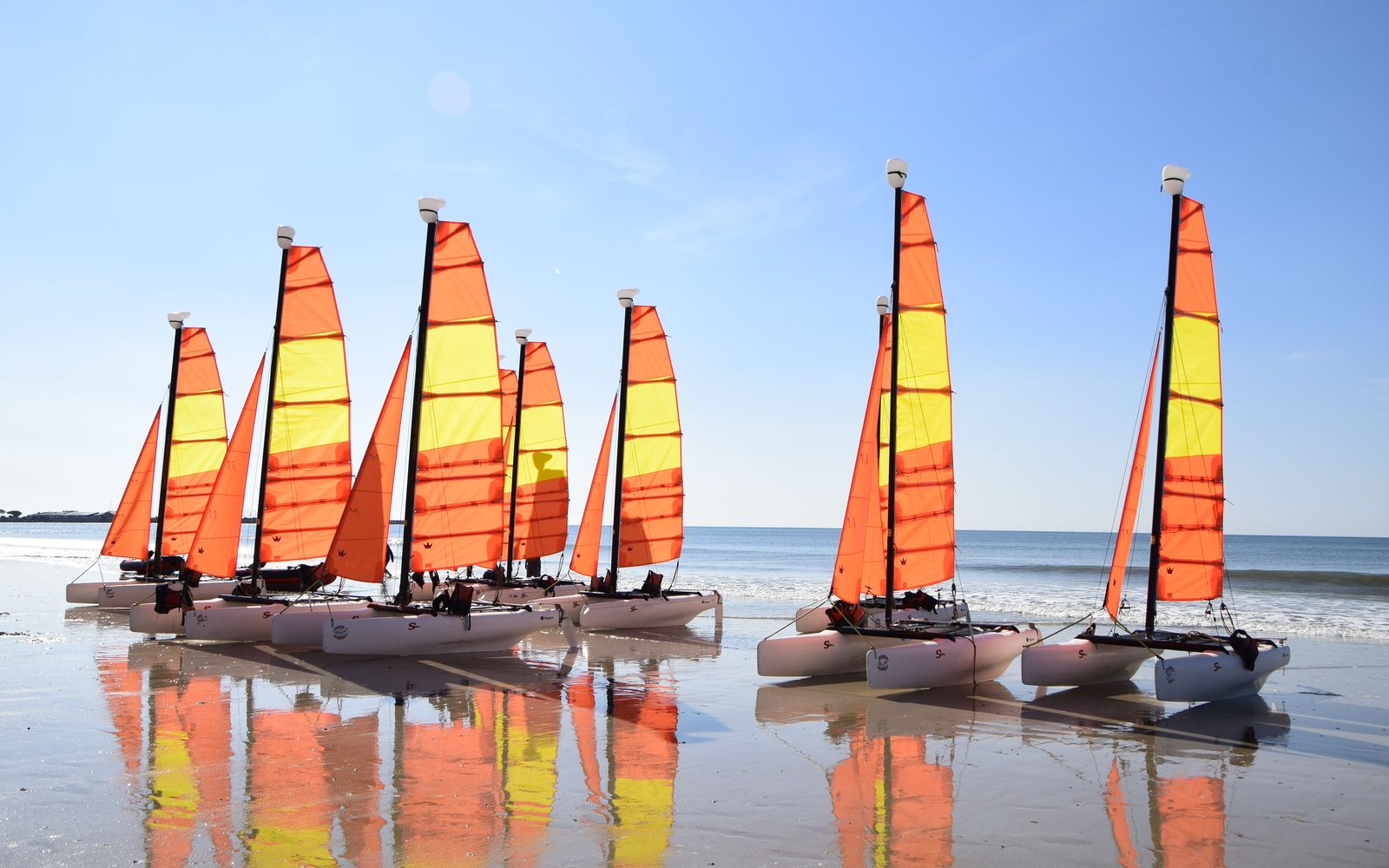 Fleet of beach catamarans with orange and yellow sails lined up on the sand